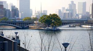 ご無沙汰しております