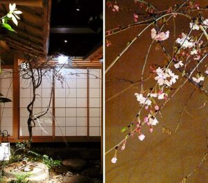 店舗デザインレポート｜味吉兆 ぶんぶ庵｜飲食｜大阪市｜店内の庭