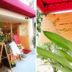 飲食店舗デザイン設計事例、mamma cafeしんたに、営業開始したファサードと袖看板の写真