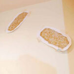 mamma cafe しんたに、葉の壁画の下絵