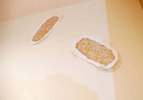 mamma cafe しんたに、葉の壁画の下絵