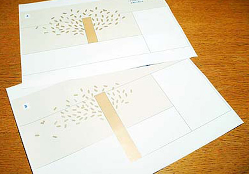 mamma cafe しんたに、シンボルの樹のスケッチ